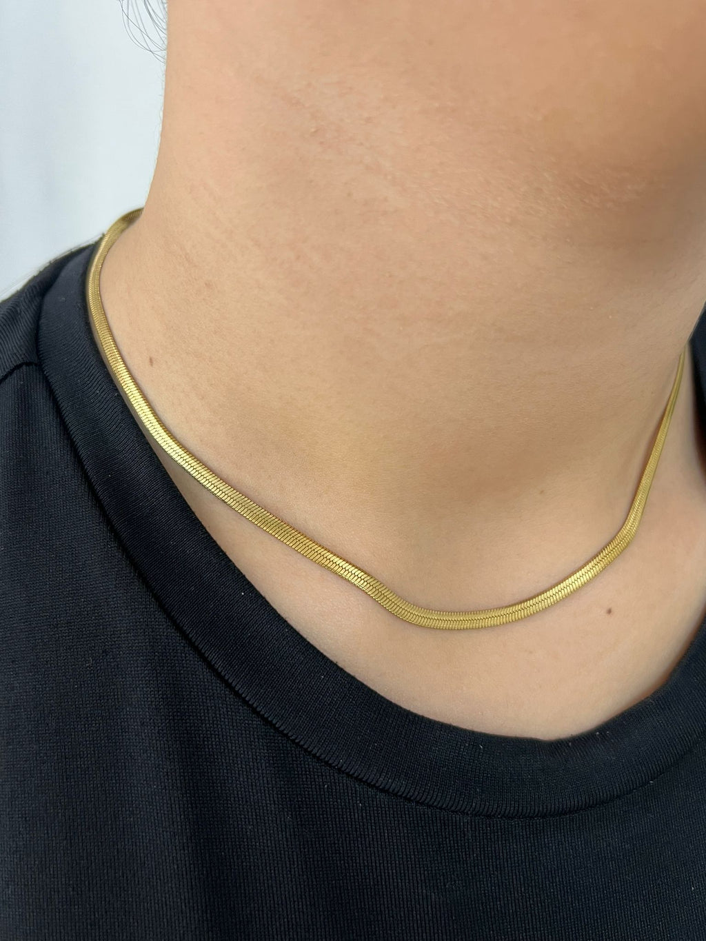 Collier Snake
