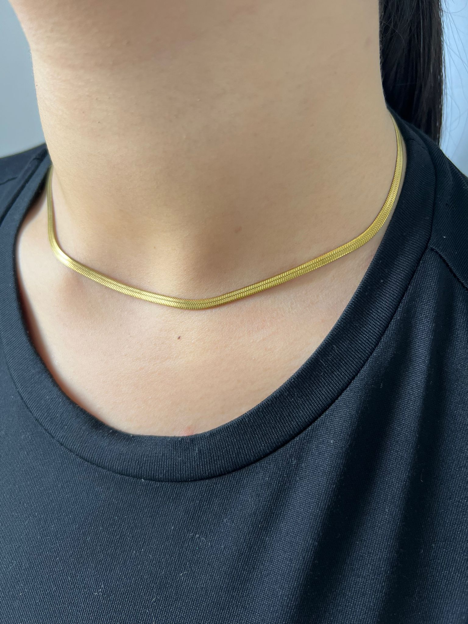 Collier Snake