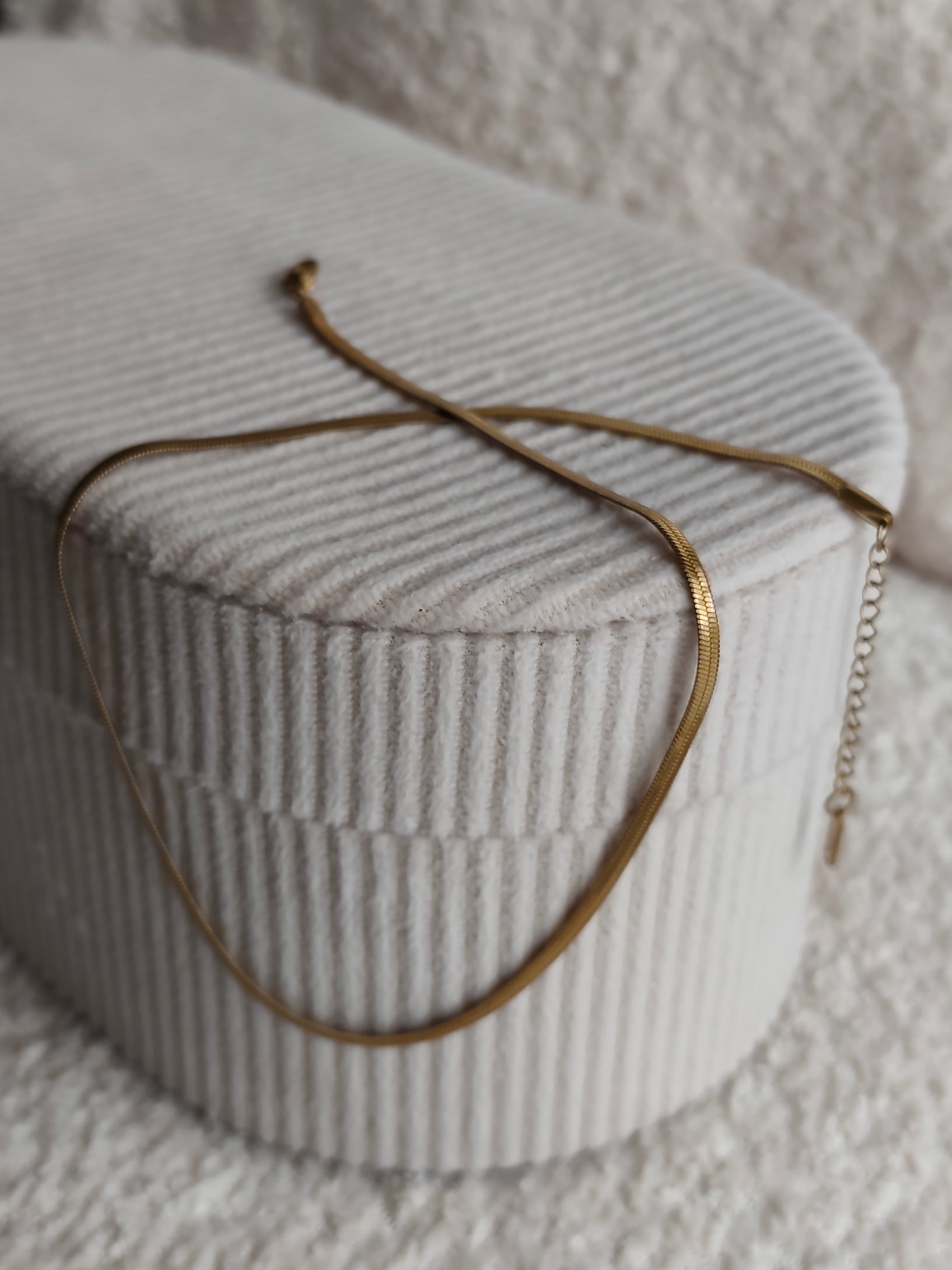 Collier Snake