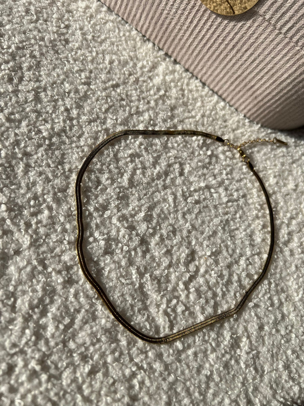 Collier Snake