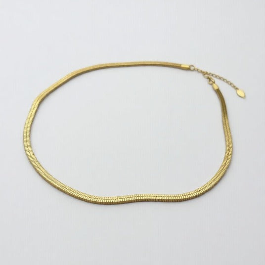 Collier Snake